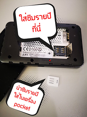 Insert SIM